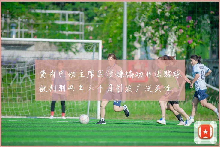 费内巴切主席因涉嫌煽动非法赌球被判刑两年六个月引发广泛关注